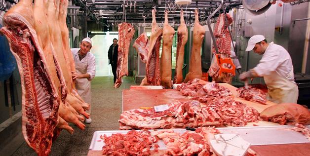 Cerebro-del-cerdo-sospechoso-de-enfermedad-en-los-trabajadores-de-un-matadero-procesador-de-carne-Razas-Porcinas